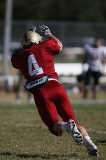开云体育娱乐-五大联赛最具统治力的球队如何打造，五大联赛良心球队